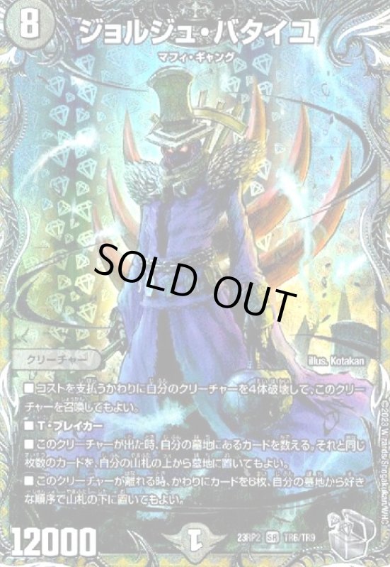 画像1: ジョルジュ・バタイユ【SR】【TR6/TR9】 (1)