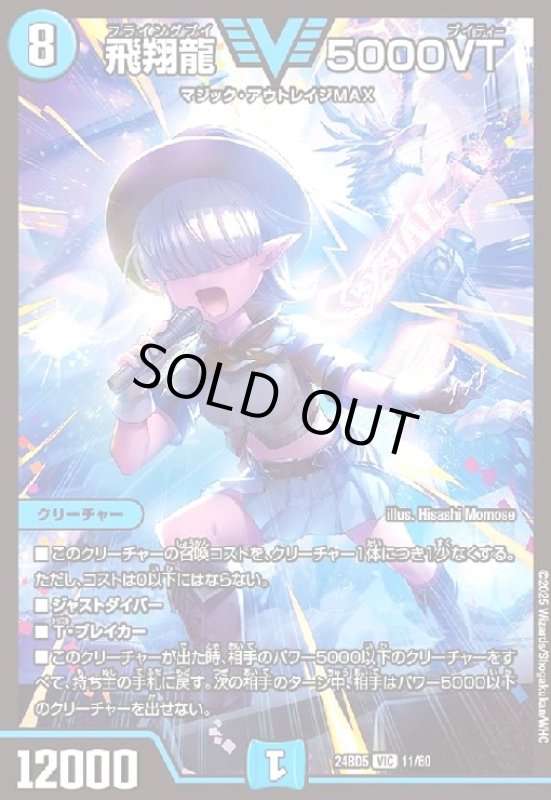 画像1: 飛翔龍 5000VT(VIC)(11/60) (1)