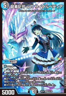 己龍　天邪鬼　殊塗同帰　マルチアングル【一色日和盤】DVD　トレカ　ピック 己龍 天邪鬼 殊塗同帰 マルチアングル【一色日和盤】DVD トレカ