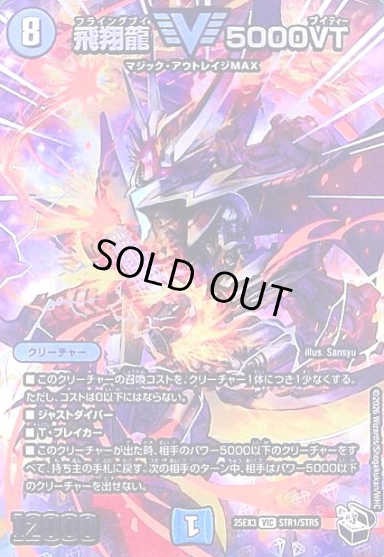 画像1: 飛翔龍 5000VT(VIC)(STR1/STR5) (1)