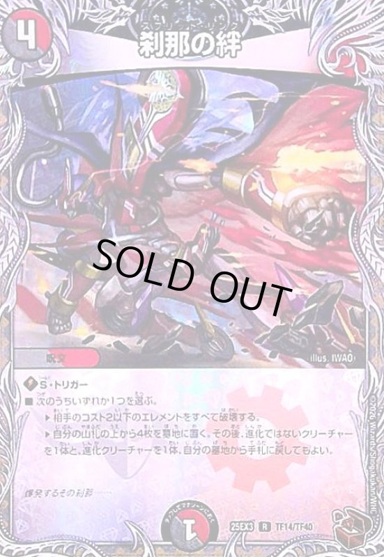 画像1: 刹那の絆(R)(TF14/TF40) (1)