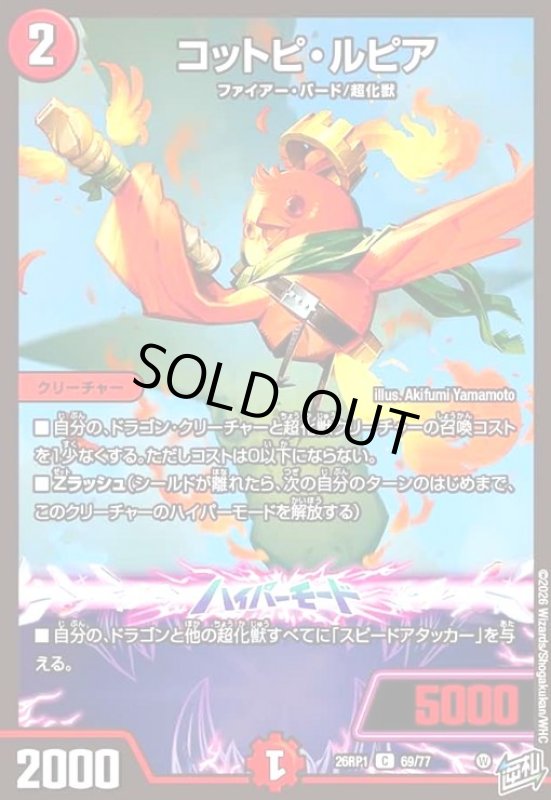 画像1: コットピ・ルピア (1)