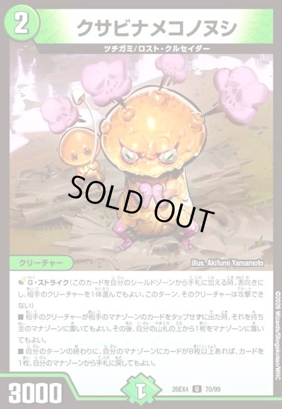 画像1: クサビナメコノヌシ (1)
