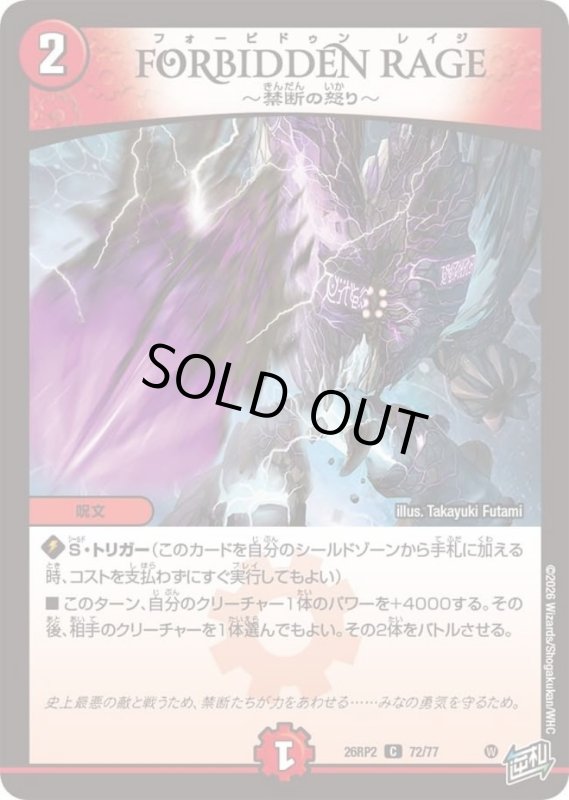 画像1: FORBIDDEN RAGE~禁断の怒り~ (1)