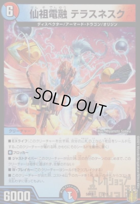 画像1: 仙祖電融テラスネスク (1)