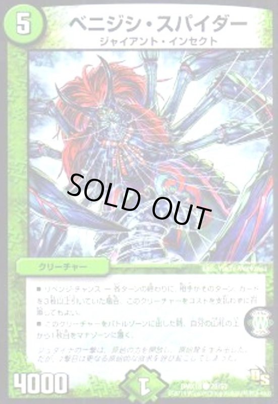 画像1: ベニジシ・スパイダー (1)
