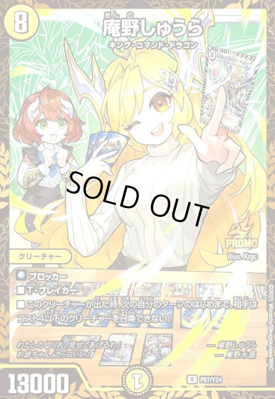 画像1: 庵野しゅうら(PR)(P87/Y24) (1)