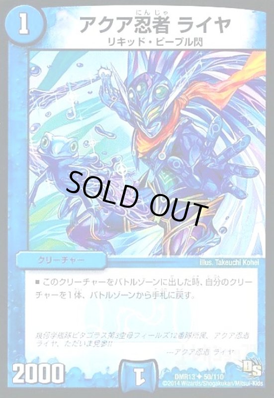 画像1: アクア忍者ライヤ (1)