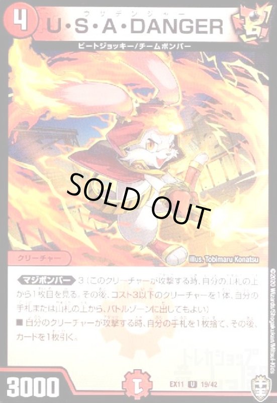 画像1: USADANGER(高価N) (1)