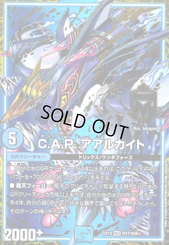画像1: C.A.P.アアルカイト(MAS)(M27/M40) (1)