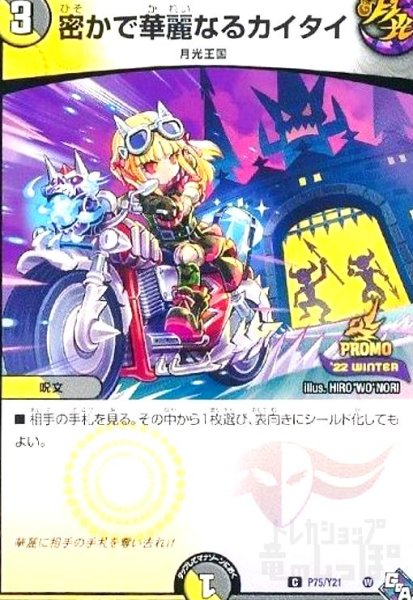 画像1: 密かで華麗なるカイタイ(PR)(P75/Y21) (1)