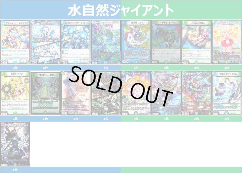 画像1: 水自然ジャイアントデッキ 2025/4/5 (1)