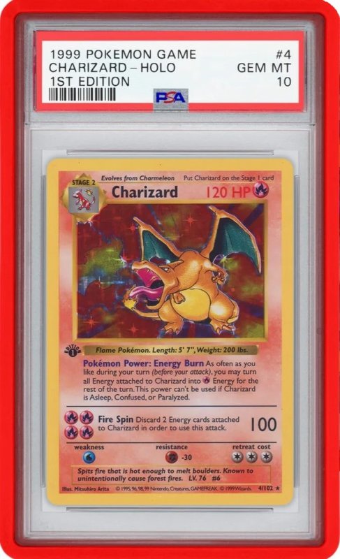 画像1: GradedGuard【Red】 (1)